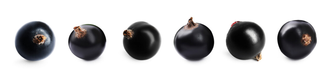 Ripe black currants isolated on white, set