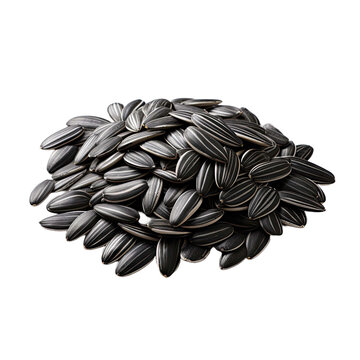 sunflower seeds isolated on a transparent background.