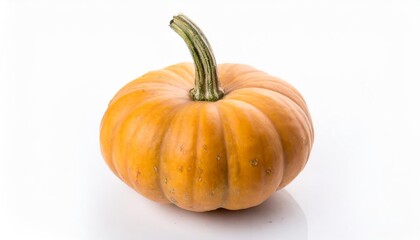 single mini pumpkin isolated on white