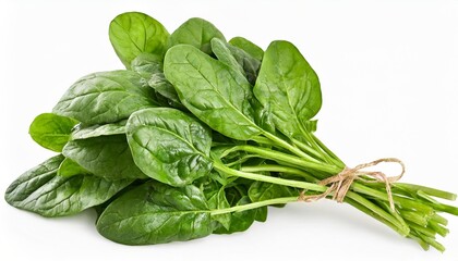 bunch of spinach leaves on isolated white background