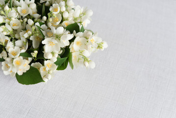 Bouquet of fresh delicate spring jasmine flowers on a linen tablecloth on the table. Top view, empty space.