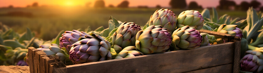 Artichokes harvested in a wooden box in artichoke field with sunset. Natural organic vegetable abundance. Agriculture, healthy and natural food concept. - obrazy, fototapety, plakaty