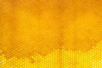 Deurstickers Drop of bee honey drip from hexagonal honeycombs filled with golden nectar © oleg525
