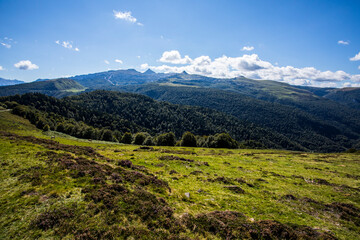 Naklejka na ściany i meble Summer landscape in the mountains of Navarra, Pyrenees, Spain