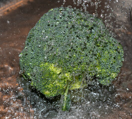 Broccoli mit Wasser waschen