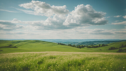 White cumulus clouds on a blue sky, hills on the horizon, flowering meadows, green grass, steppe, calm summer landscape, nature