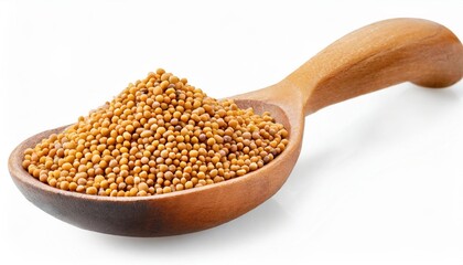 yellow mustard seeds in wooden spoon isolated on white