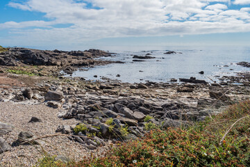 Fototapeta na wymiar Rocks and stones on a small beach on the Atlantic Ocean next to Cão fort, Gelfa PORTUGAL