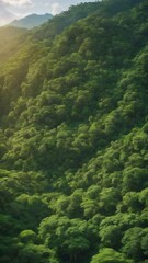 Landscape of tropical green forest