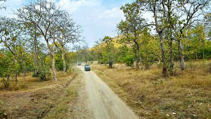 nature background photoshoot without filters