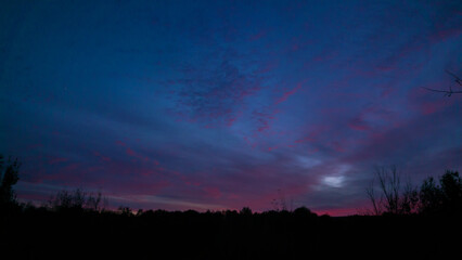 Vibrant sunset seen from the wild forest. Pastel colors in the evening sky. Cloud formations in abstract shapes