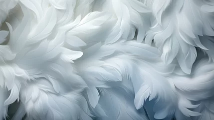 Fotobehang Beautiful fluffy white feather, abstract feather on white background. High resolution. Copy space for design and text. Pastel beige and white colors. High resolution. © alexkich
