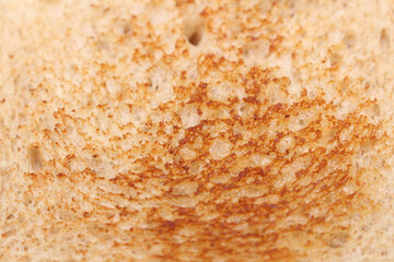 close up of bread. close up of bread texture. toasted bread with selective focus.
