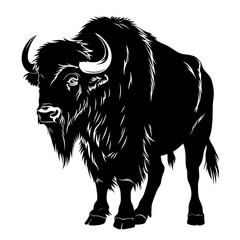 Silhouette buffalo full body black color only