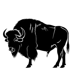 Silhouette buffalo full body black color only