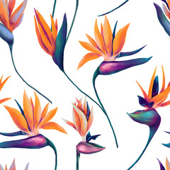 Seamless pattern of watercolor neon colored strelitzia flowers - 715503549
