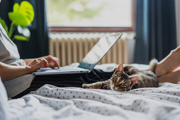 Obraz na płótnie Canvas Young woman with cute gray kitten working on a project using laptop in bed at home