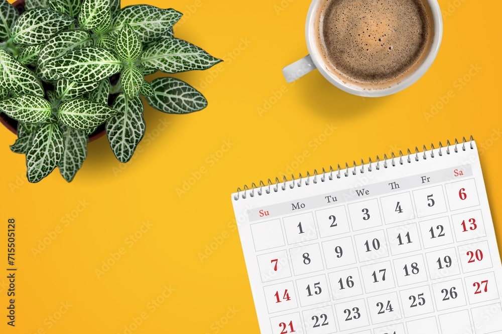 Wall mural 2024 desk office calendar and plant