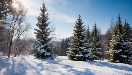 awesome winter landscape with spruces covered in snow