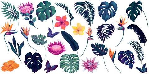 Collection of watercolor tropical flowers and palm leaves, vibrant colored protea, strelitzia, plumeria flowers, butterflies and deep blue monstera, palm leaves - 715507142