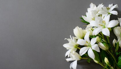 Naklejka na ściany i meble white flowers on grey background grief loss coping of mourning condolences card