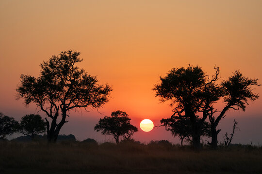 Sunset over the Okavango Delta, Botswana