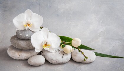 Obraz na płótnie Canvas white orchid and spa stones on the grey background