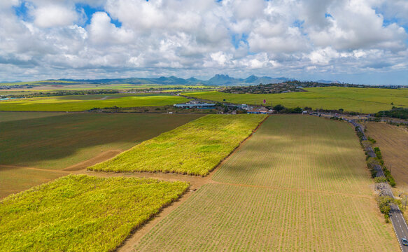 Aerial view of patchwork fields and mountains visible on horizon near Mapou, Rempart District, Mauritius