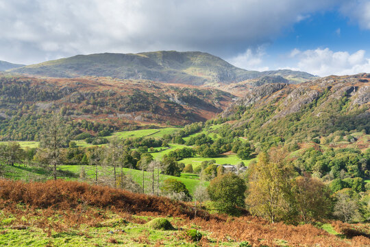 Goat Crag and Coniston Moor from Tarn Hows near Coniston in south eastern Lake District, Lake District National Park, UNESCO World Heritage Site, Cumbria, England