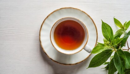 a cup of tea on a saucer next to a plant on white background