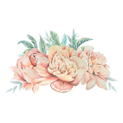 Watercolor flowers peonies, set of png, flower bouquet