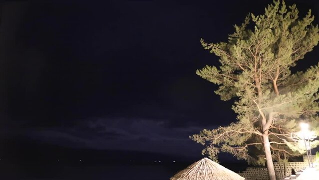 Time lapse footage capturing the movement of nighttime clouds over the lake Sevan, with a brightly illuminated evergreen tree in the foreground, low angle of view, full hd, fhd, 1920, 1080