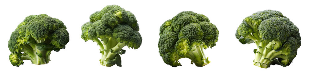 broccoli set png. broccoli png. broccoli plant isolated. broccoli flat lay png. Brassica oleracea. organic broccoli plant png. fresh ripe vegetable - obrazy, fototapety, plakaty