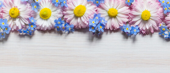 Border of daisy flowers and blue forgetmenot flowers