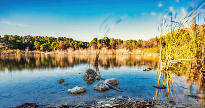 Pantano Puentes I