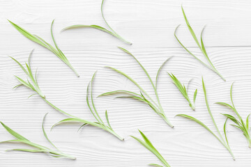 Herbal floral pattern with green leaves. Herbal cosmetic or medicine background