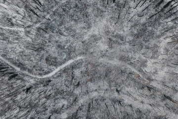 Top down view of a forest in winter