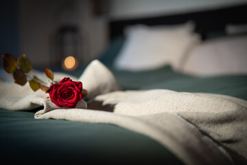 Red rose on bed in a hotel room. Background for a romantic valentins day ore mothers day with space...