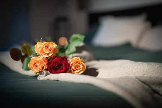 Roses on bed in a hotel room. Background for a romantic valentins day ore mothers day with space for text.