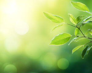 Natural Summer Background in Green Tones: Tree Branch with Delicate Green Leaves, Bokeh Style Background, Evoking a Serene and Organic Atmosphere in Harmonious Natural Hues