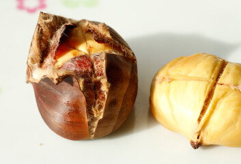 chestnut, herb, nature, 