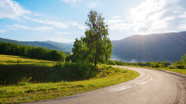 picturesque view with road through carpathian mountains. tranquil countryside of ukrainian highlands in summer. foggy sunrise among trees in the valley