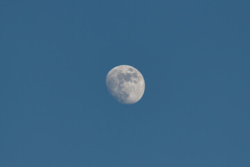 Naklejka na ściany i meble Waning moon in the blue sky during the day