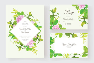 peonies floral and leaves background and frames card