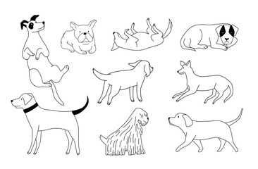 Cute doodle dog. Furry playful domestic animals of different breeds. Adorable puppies outlines in various positions