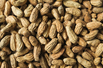 close up of dried peanuts