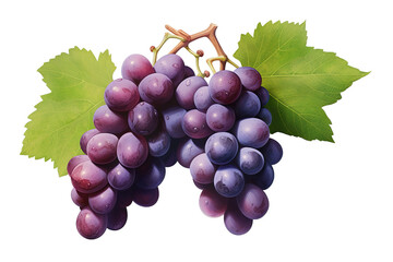 Fototapeta premium A bunch of red grapes. The file contains clipping paths isolated on a Transparent background. Generative AI
