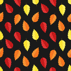 Fall vector seamless pattern. Red, yellow and orange autumn leaves on black background. Best for textile, wallpapers, home decoration, wrapping paper, package and web design.