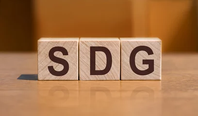 Fotobehang SDG - word concept written on wooden cubes or blocks on a light background © Nastassia