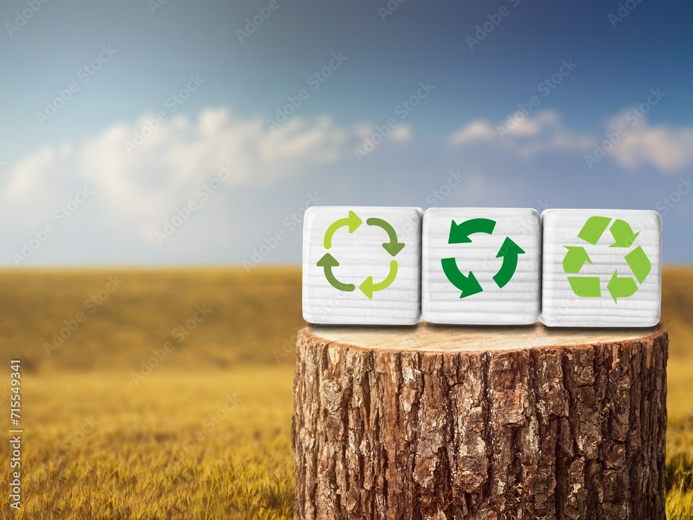 Poster icons to reduce, recycle on wood cubes green background